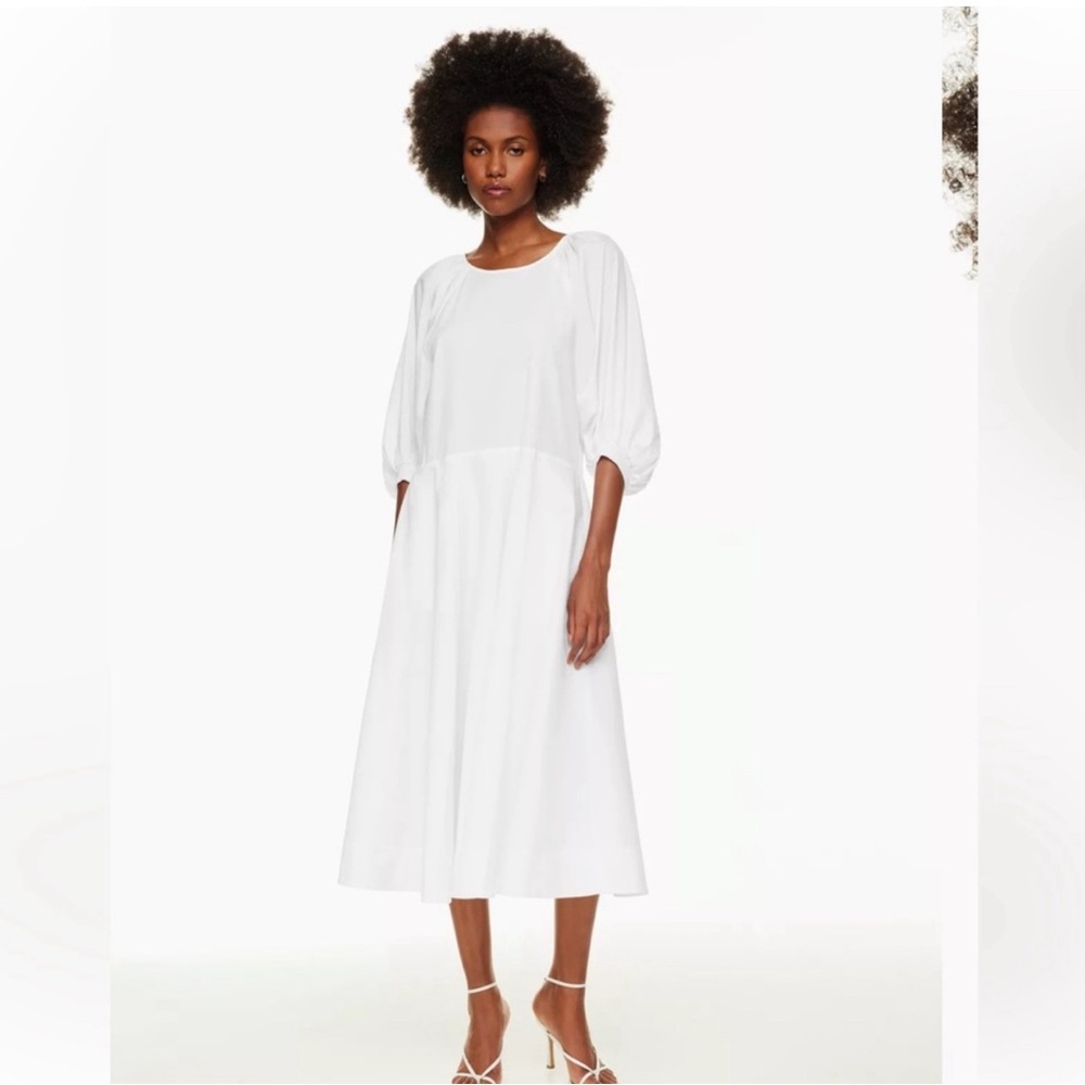 NWT Aritzia Babaton Ambience Poplin Dress